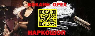 СК Кингисепп
