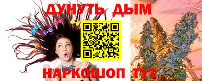 СК Кингисепп
