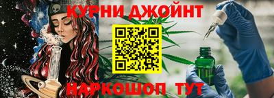 СК Кингисепп