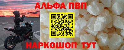 СК Кингисепп