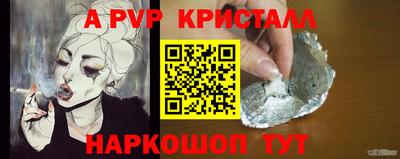 СК Кингисепп