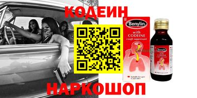 СК Кингисепп